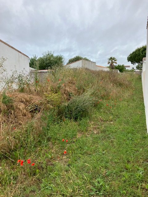 Terrain à bâtir